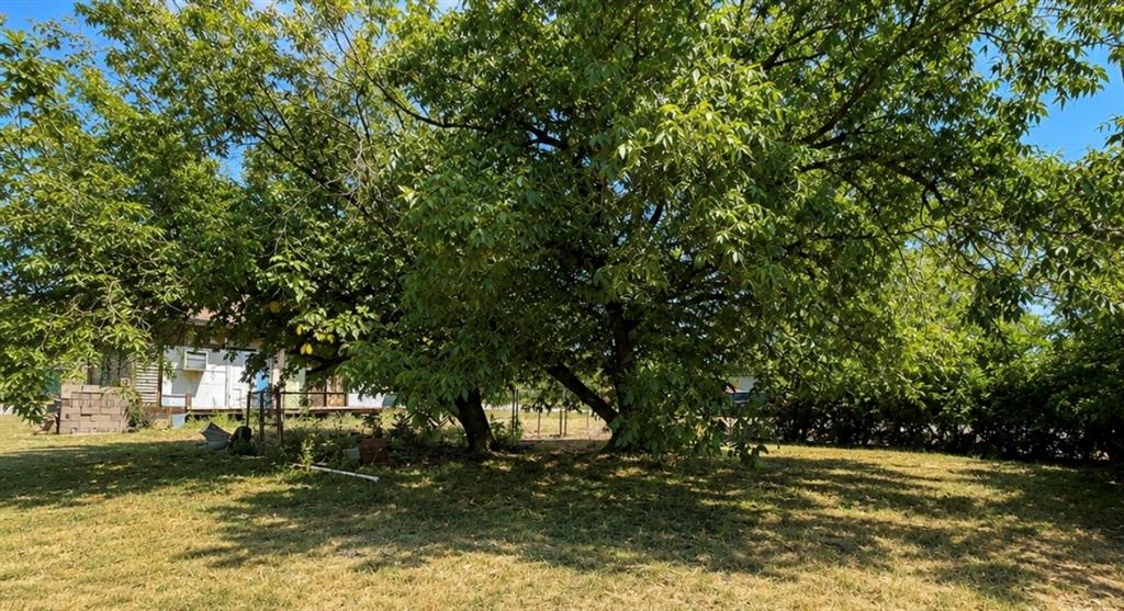 114 S Mills Street Property Photo 3