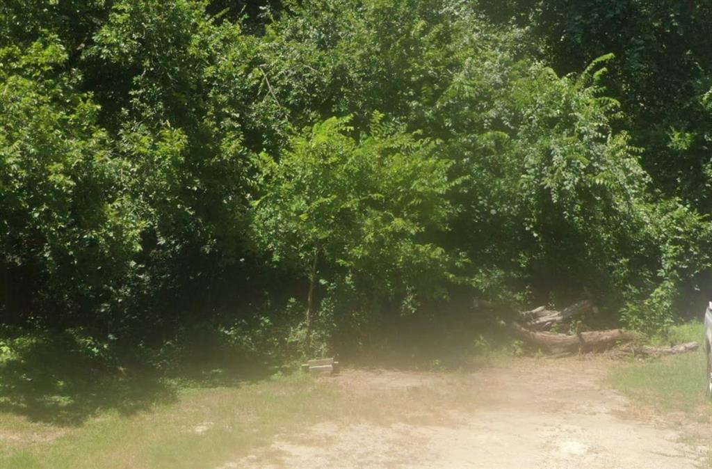 190 Ash Street Property Photo 2