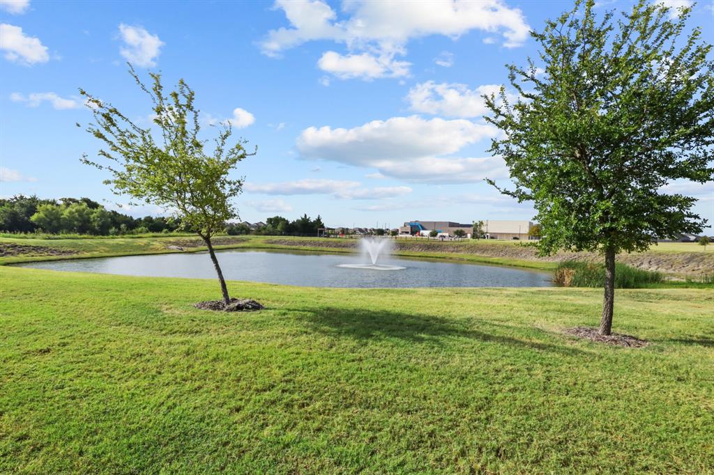 2994 Cedeno Drive Property Photo 40