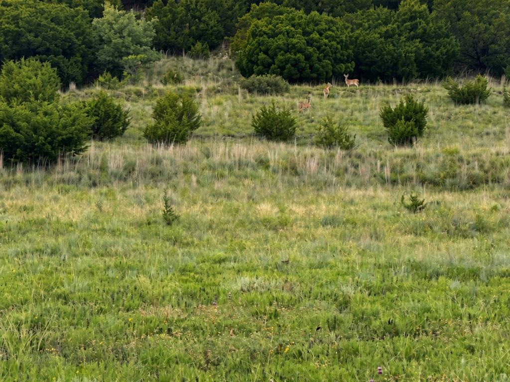 Tbd Hwy 6 Property Photo 15