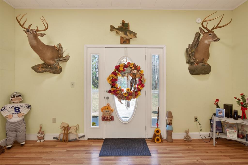 4914 Hwy 507 Property Photo 4