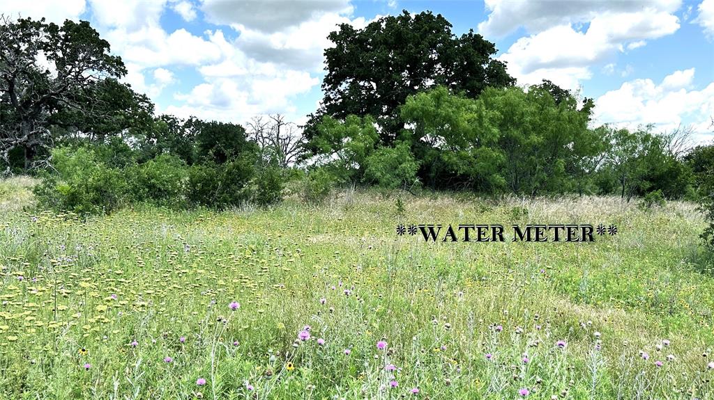 Tbd 16 County Road 295 Property Photo 1