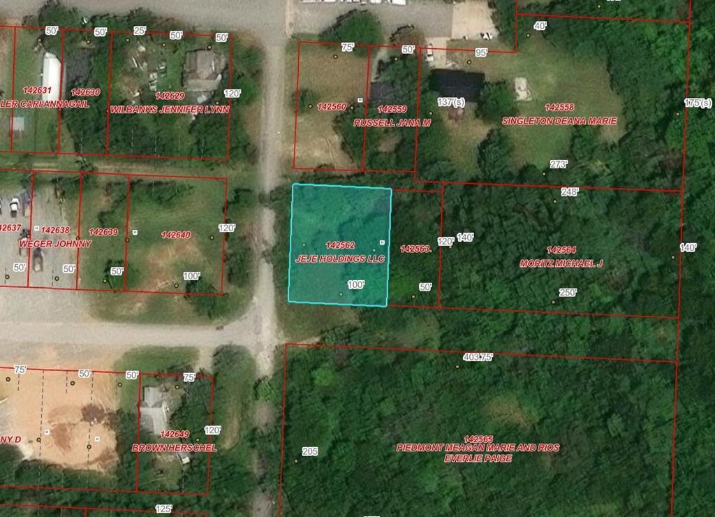 Tbd S Travis Avenue Property Photo 1