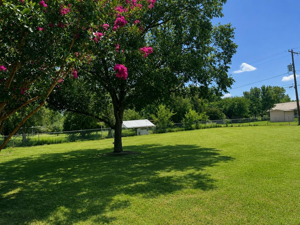 156 George Scott Street Property Photo 13