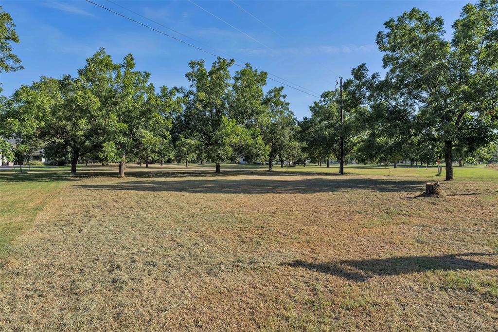 11008 Orchards Boulevard Property Photo 10