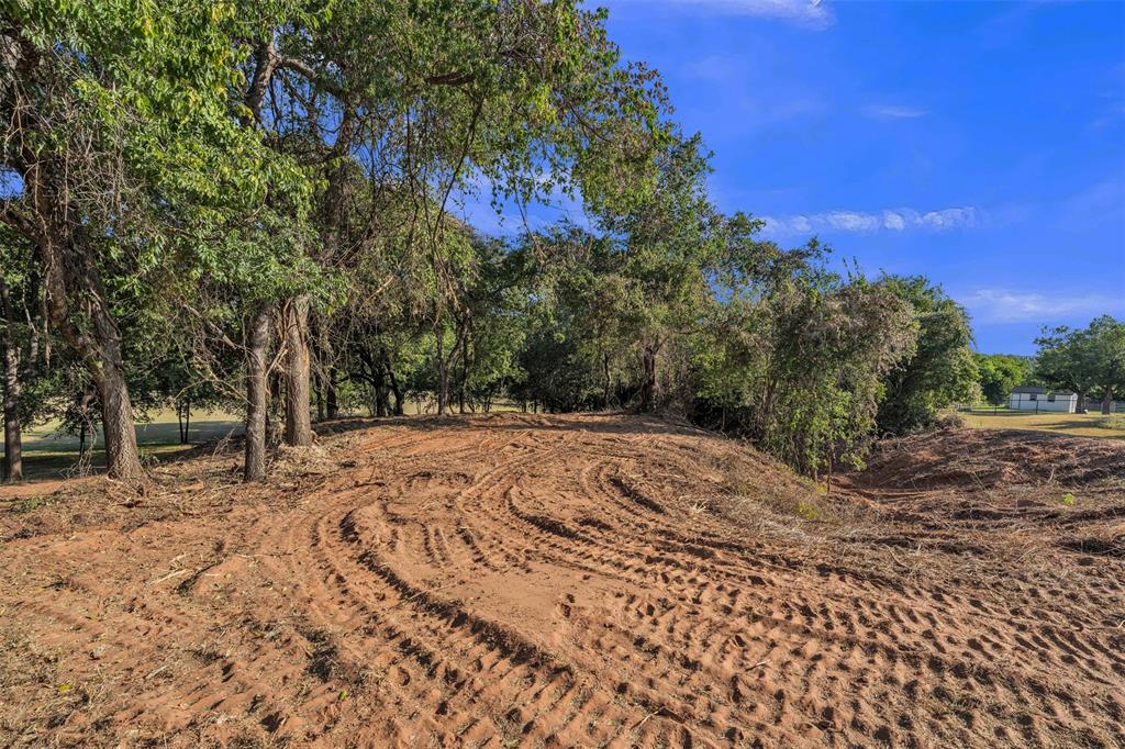 11008 Orchards Boulevard Property Photo 15