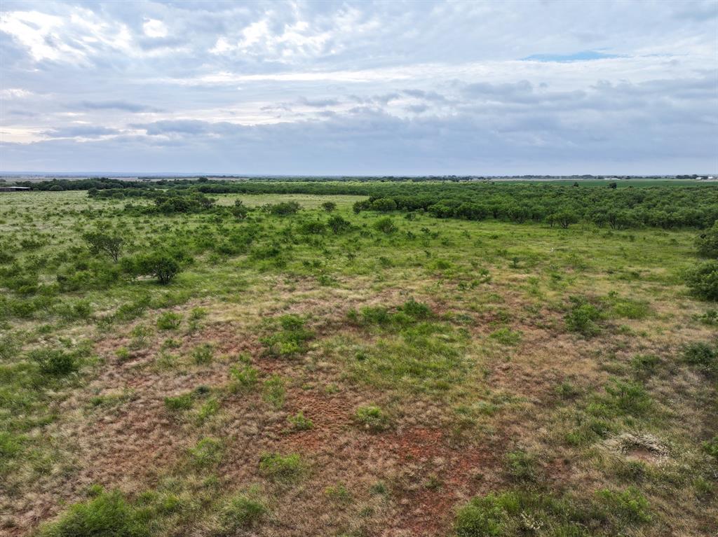 136 Badger Den Property Photo 2