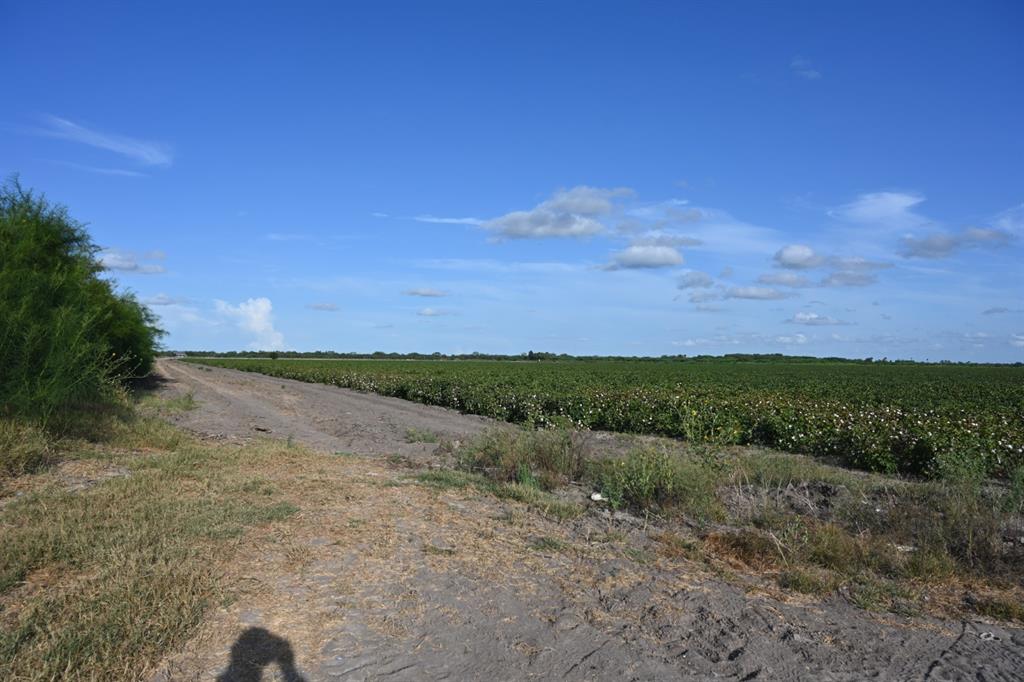 Tbd-3 Mile 3 East Rd Property Photo 6