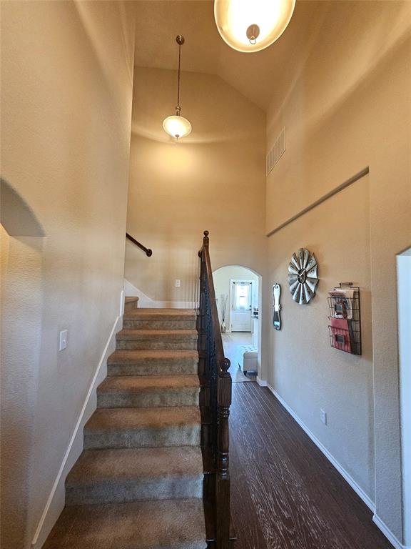 1017 Meadow Green Court Property Photo 14