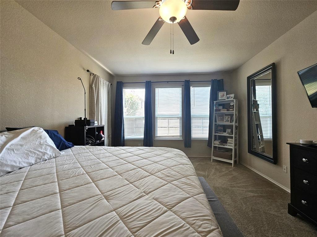 1017 Meadow Green Court Property Photo 25