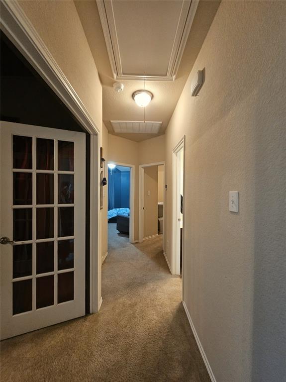 1017 Meadow Green Court Property Photo 31