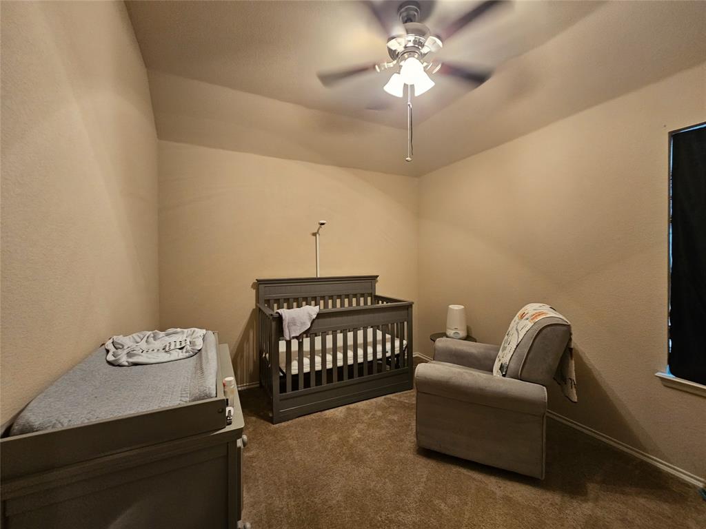 1017 Meadow Green Court Property Photo 33
