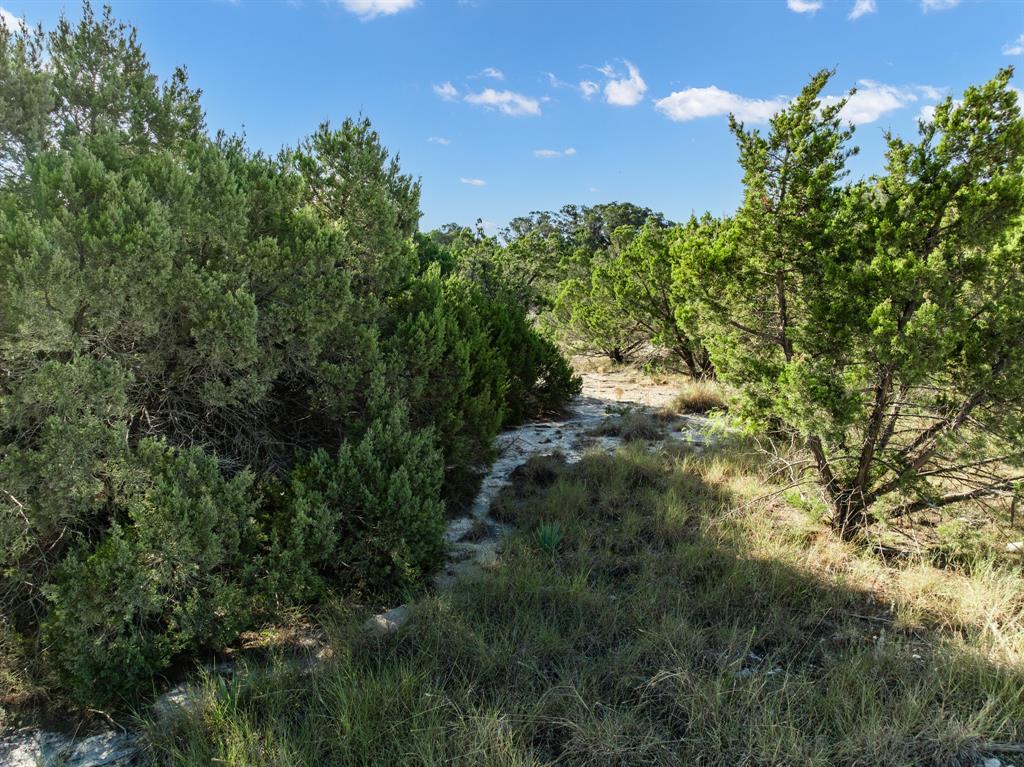 Tbd Cr 1213 Property Photo 4