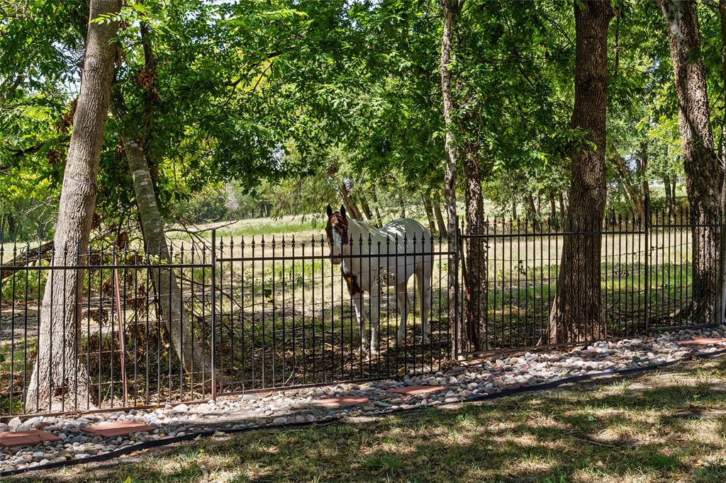 2409 Legend Drive Property Photo 35