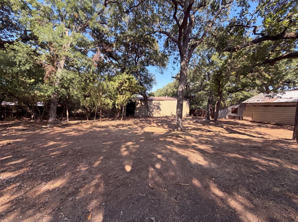 1856 Carl Street Property Photo 17