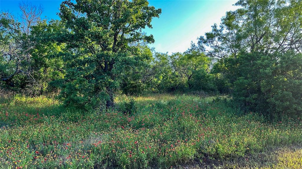 2417 Highway 569 Property Photo 22