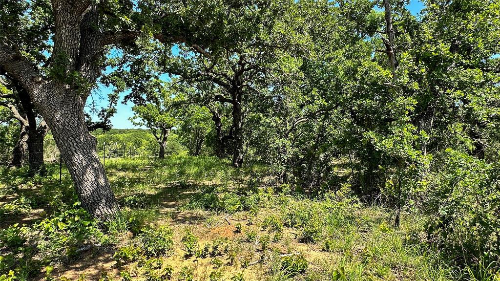 2417 Highway 569 Property Photo 23