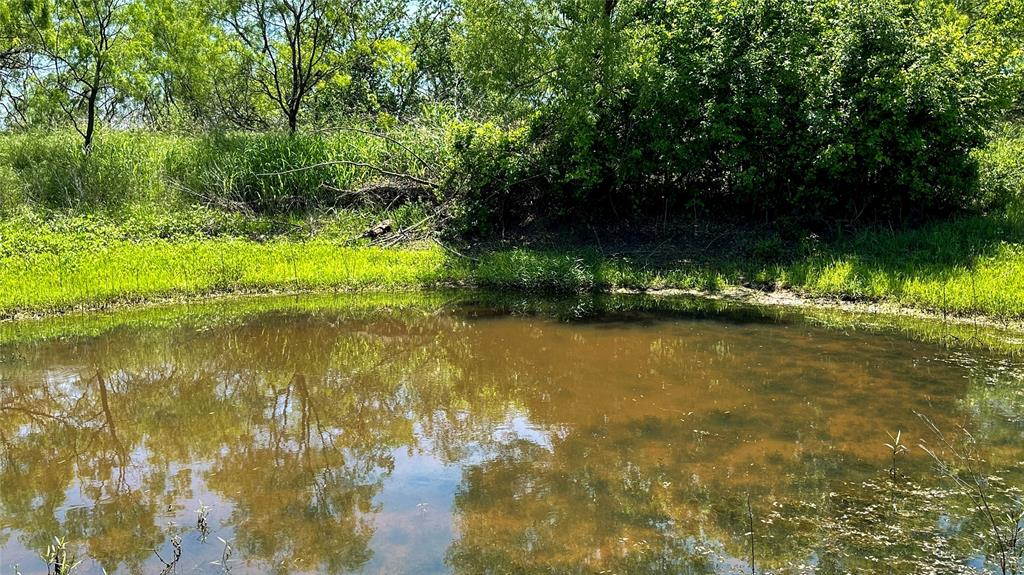 2417 Highway 569 Property Photo 33