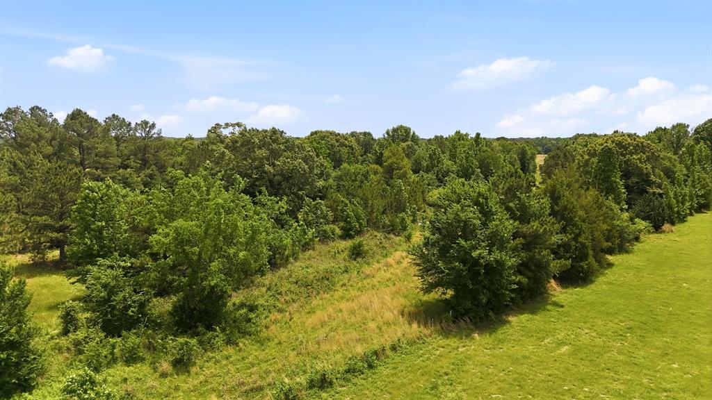 368 County Road 4960 Property Photo 13