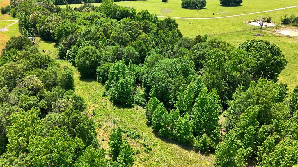 368 County Road 4960 Property Photo 17