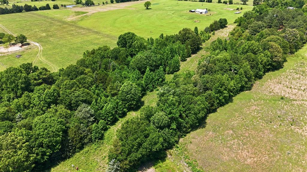 368 County Road 4960 Property Photo 20