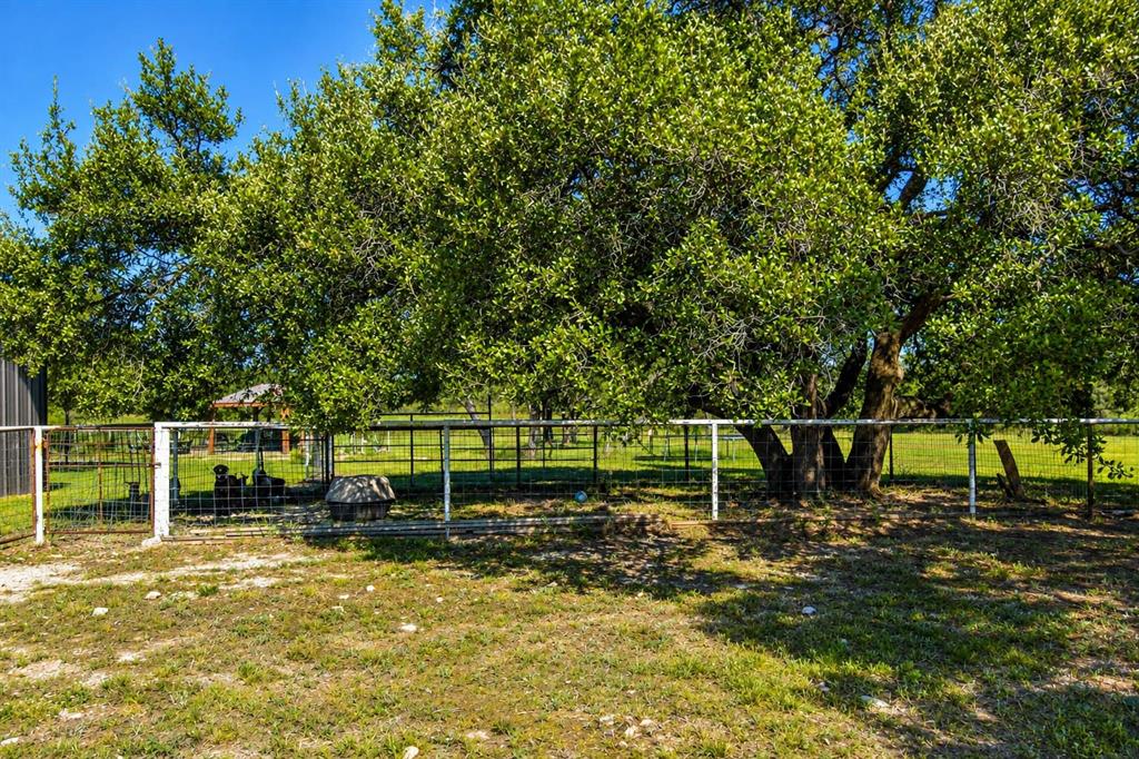 239 County Road 160 Property Photo 24