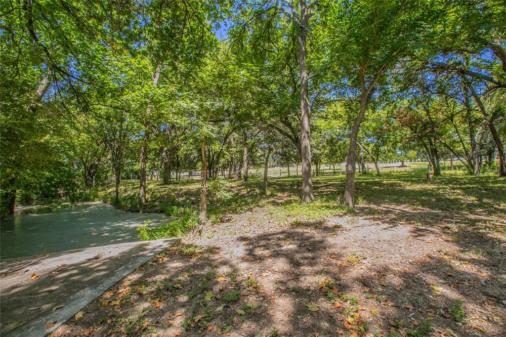 10299 Paddy Hamilton Road Property Photo 5
