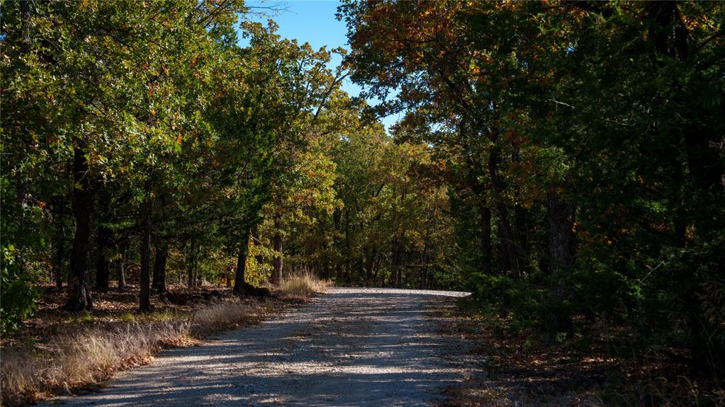 1210a County Road 232 Property Photo 11
