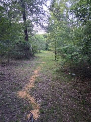 2965 County Road 1439 Property Photo 6