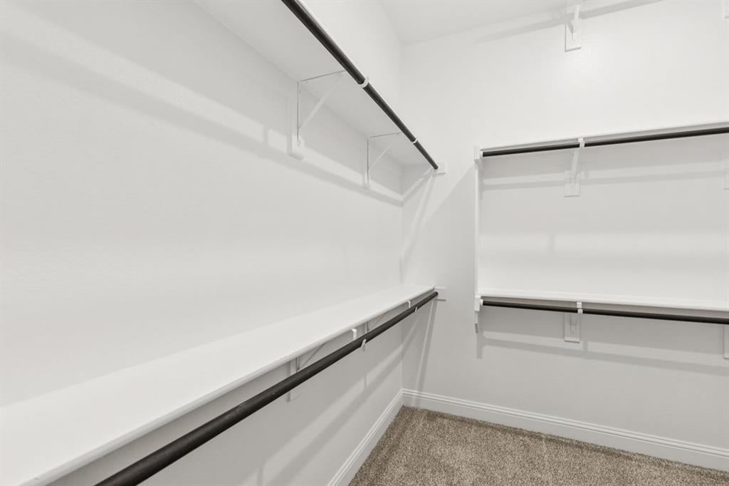 10325 Canna Lily Street Property Photo 33