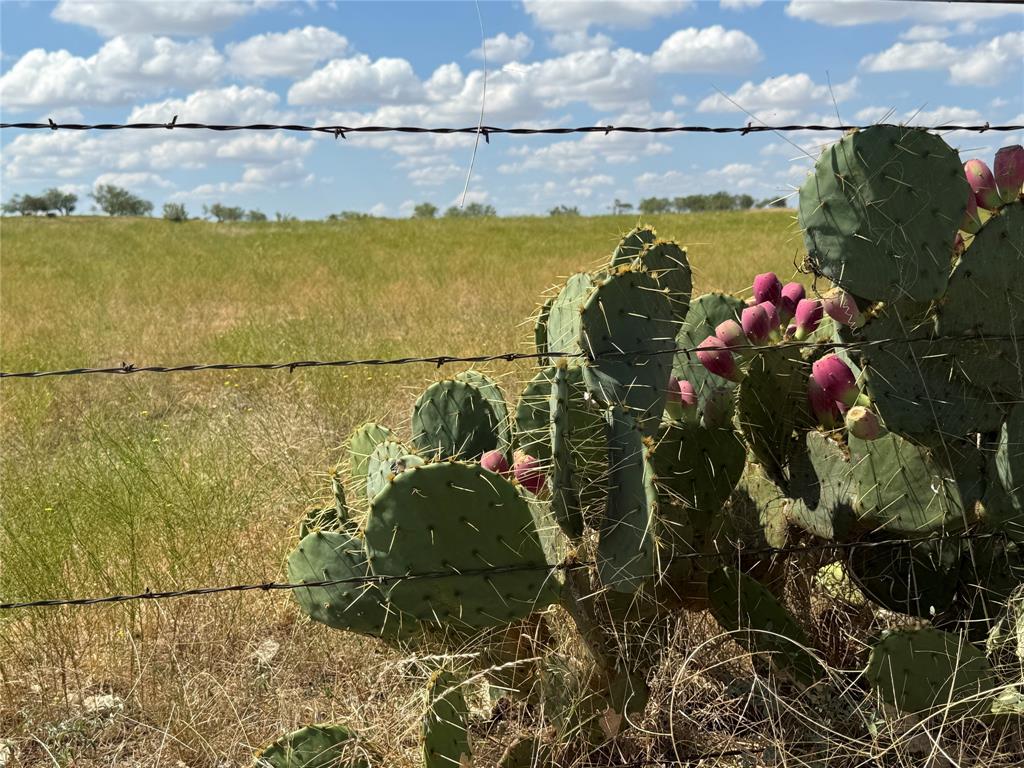 Tbd 147.04 +/- Ac Hwy 6 Highway Property Photo 16