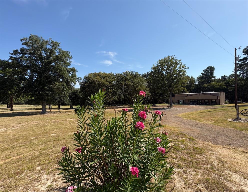 145 Private Road 7004 Property Photo 1