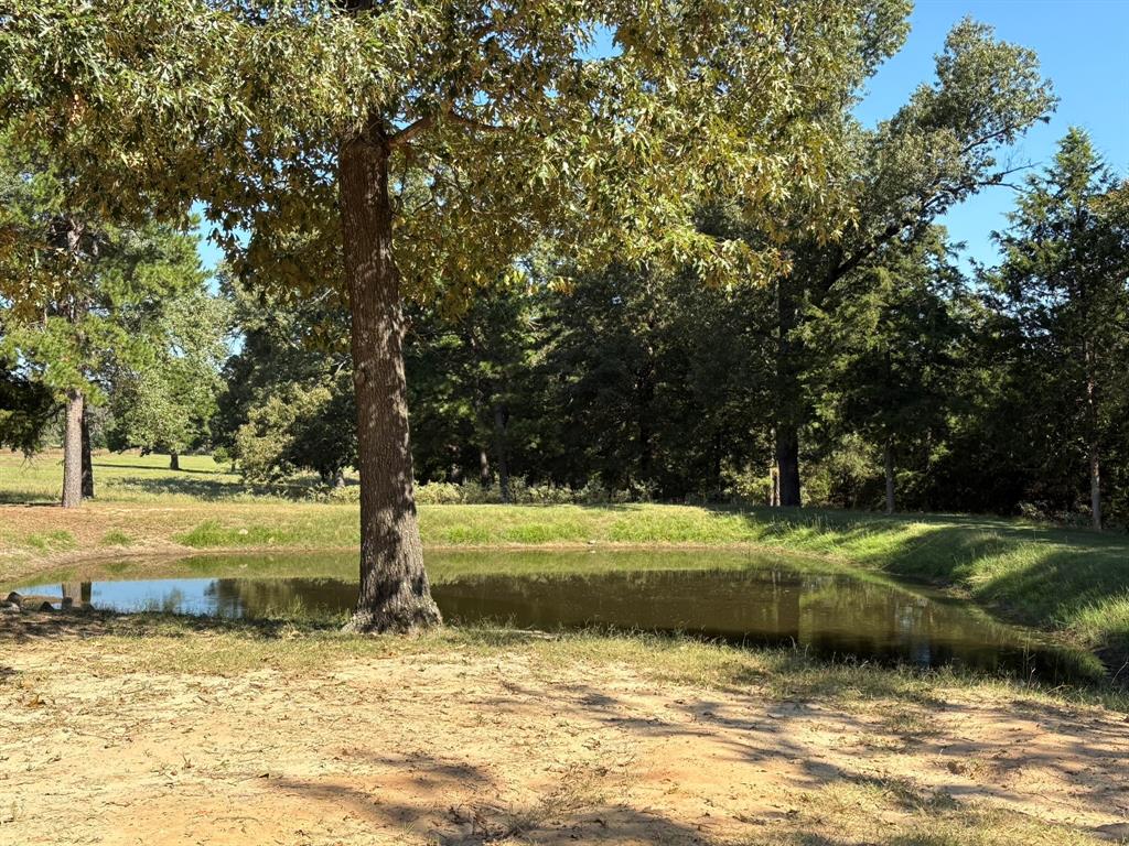 145 Private Road 7004 Property Photo 17