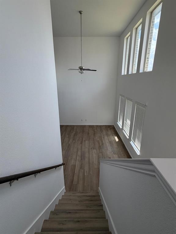 2517 Maplehurst Drive Property Photo 38
