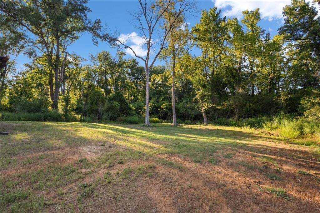 248 Crepe Myrtle Property Photo 40