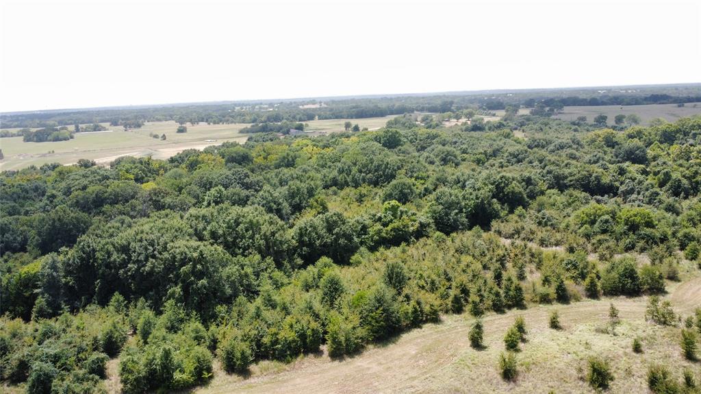 9574 County Road 314 Road Property Photo 18