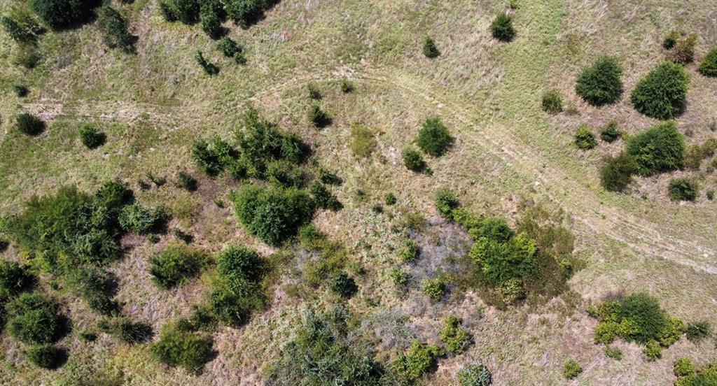 9574 County Road 314 Road Property Photo 28