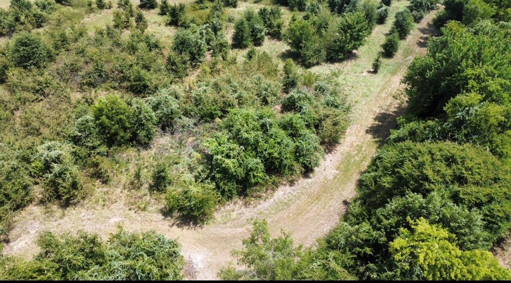 9574 County Road 314 Road Property Photo 34