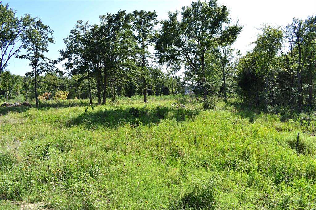 146 Jake Lane Property Photo 1