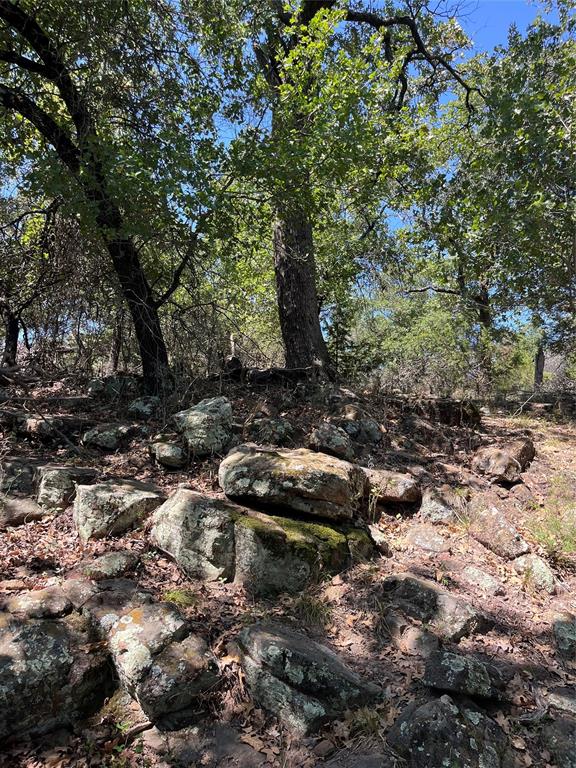 B29 Glenhollow Drive Property Photo 5