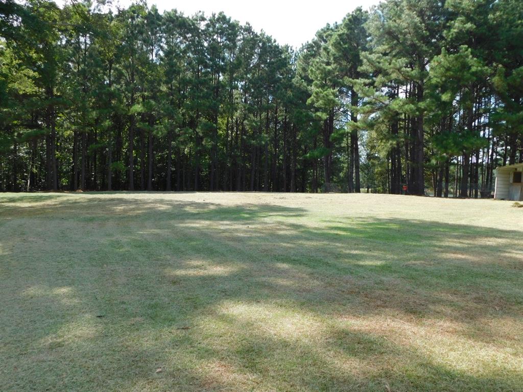 746 Wise Road Property Photo 14