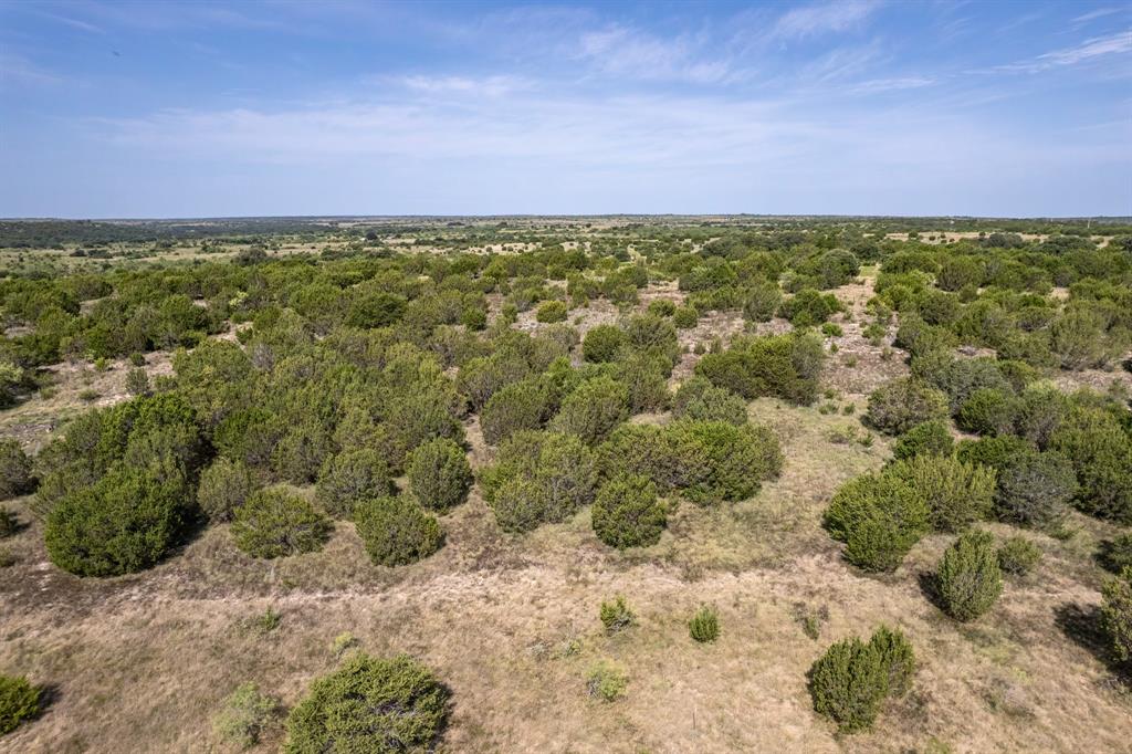 0000 Bluff View Trail Property Photo 4
