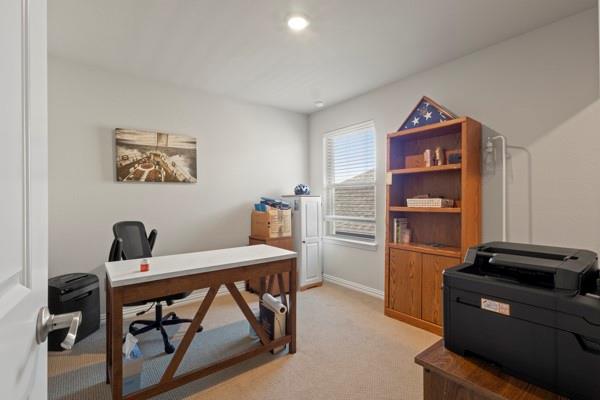 2316 Willow Garden Drive Property Photo 27