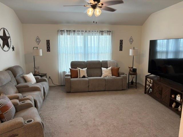 701 Emmons Creek Street Property Photo 6