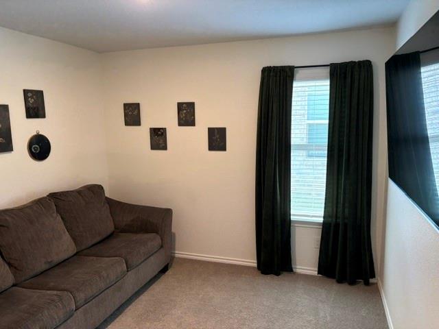 701 Emmons Creek Street Property Photo 10