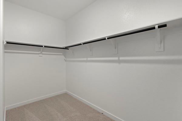 1563 Coldwater Way Property Photo 26