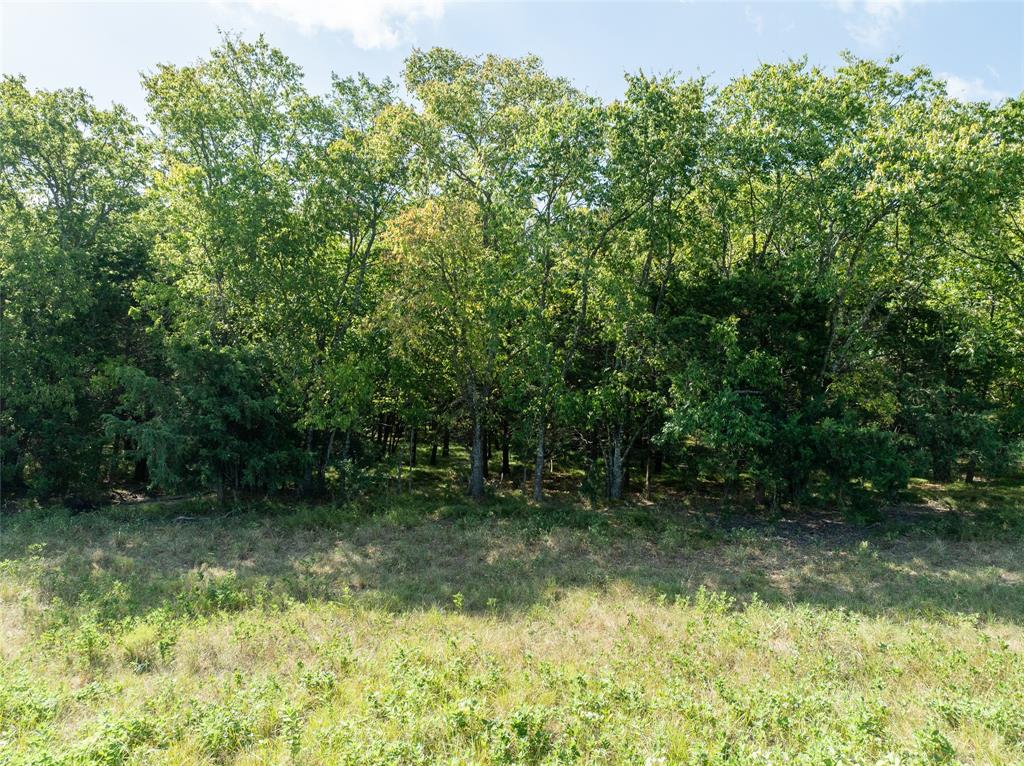 Tbd Cr 1140 Property Photo 9
