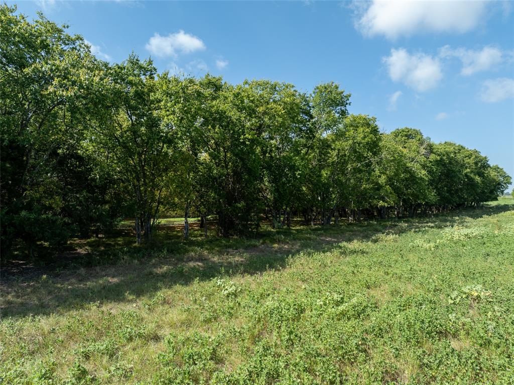 Tbd Cr 1140 Property Photo 10