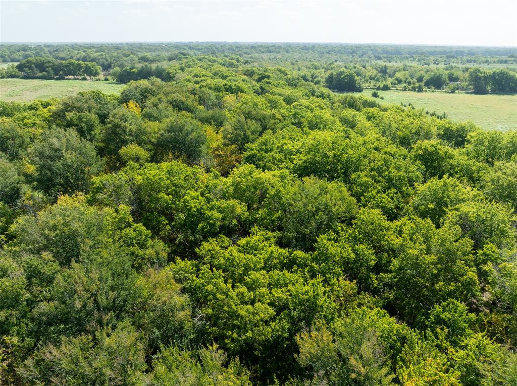Tbd Cr 1140 Property Photo 12