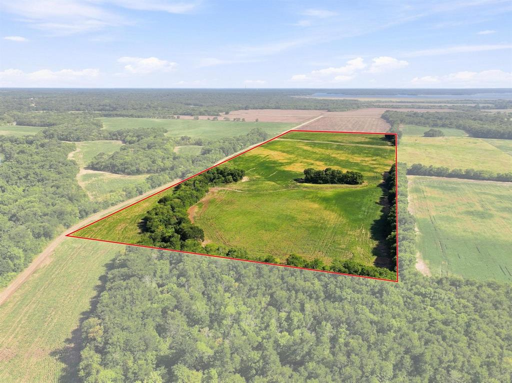 01 County Road 36980 Property Photo 10